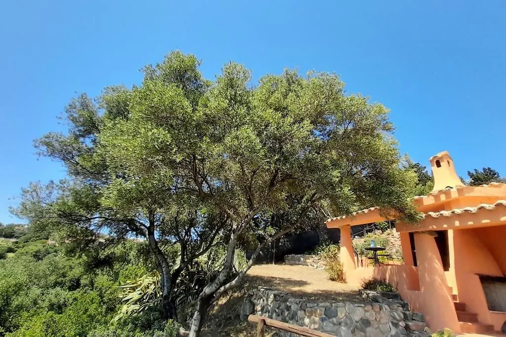 Holiday home Villa Del Nuraghe With Fantastic Sea View Torre delle Stelle Italy