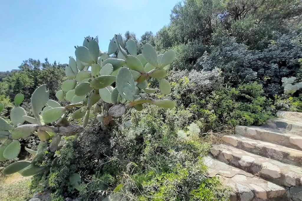 Villa Del Nuraghe With Fantastic Sea View Torre delle Stelle Holiday home