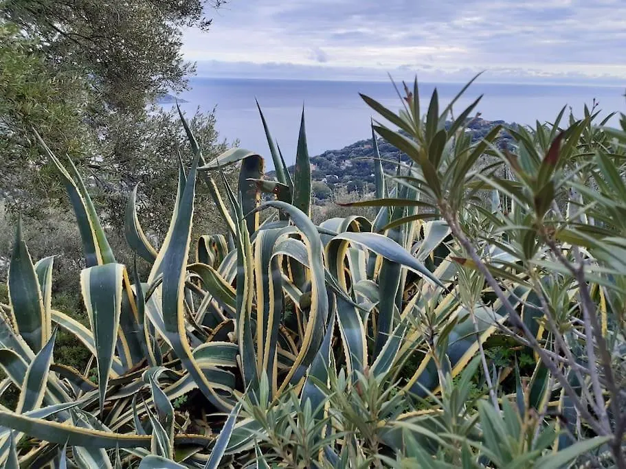Villa Del Nuraghe With Fantastic Sea View Torre delle Stelle Italy